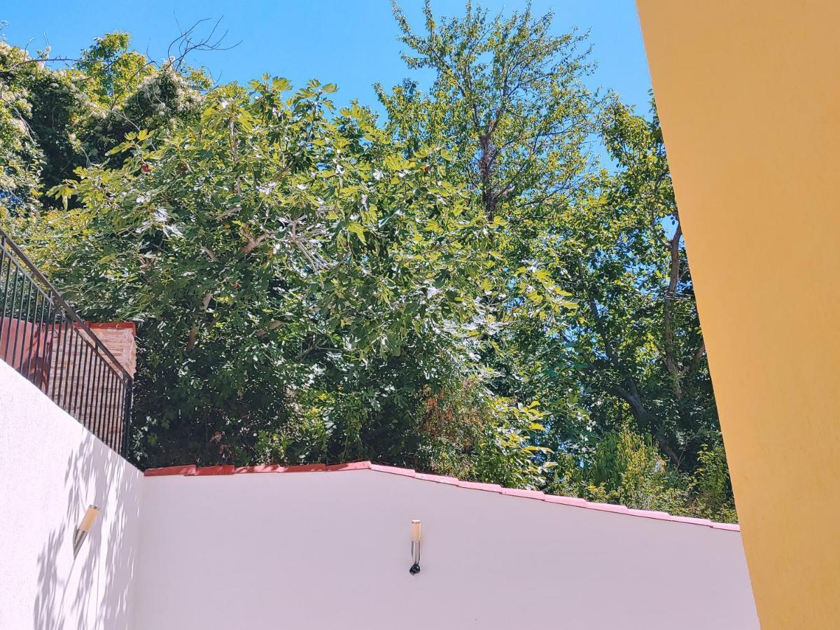 Villa Metatron U Doma บัลชิค ภายนอก รูปภาพ